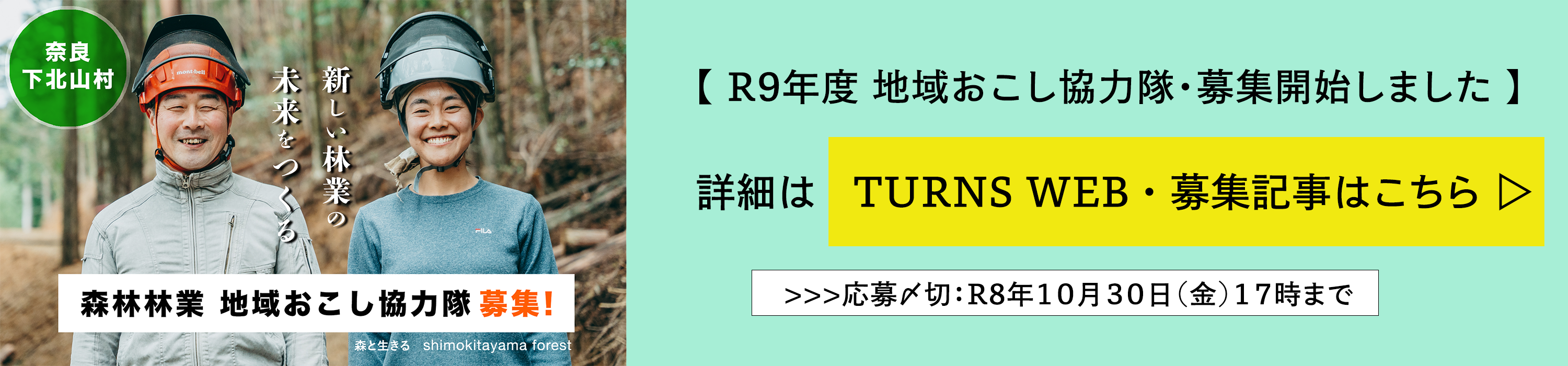 TURNS_link.png