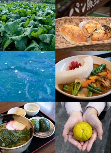 下北山村の気候が育む滋味溢れる食。